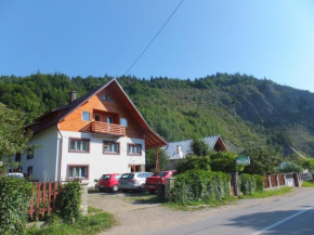 Pensiunea Piatra Mandrutului